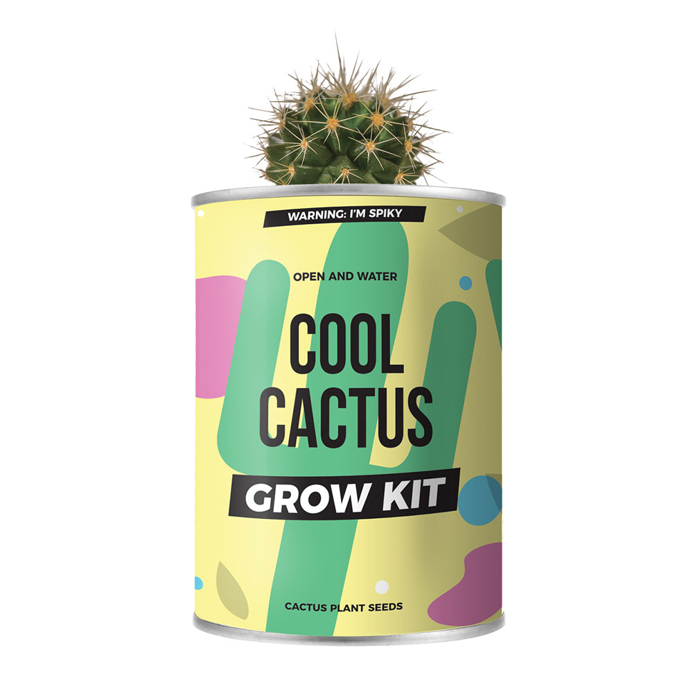 Kaktus på dåse
