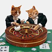 Roulette kattelegetøj