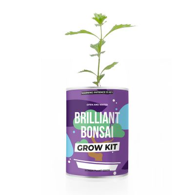 Bonsai på dåse