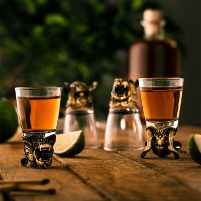 Wild Spirits shotglas sæt med 4 stk.
