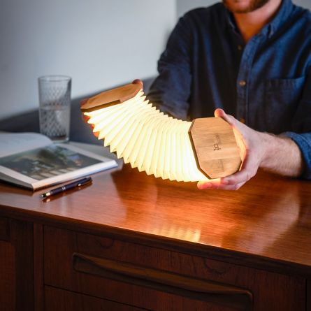 Gingko harmonika-lampe