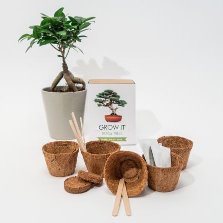 Grow It Bonsai-træer