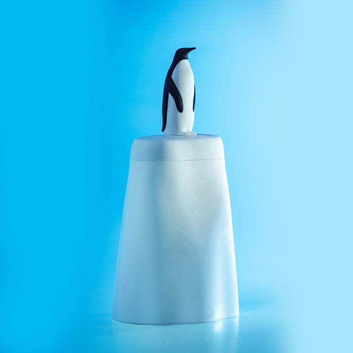 Pingvin ispind main product photo