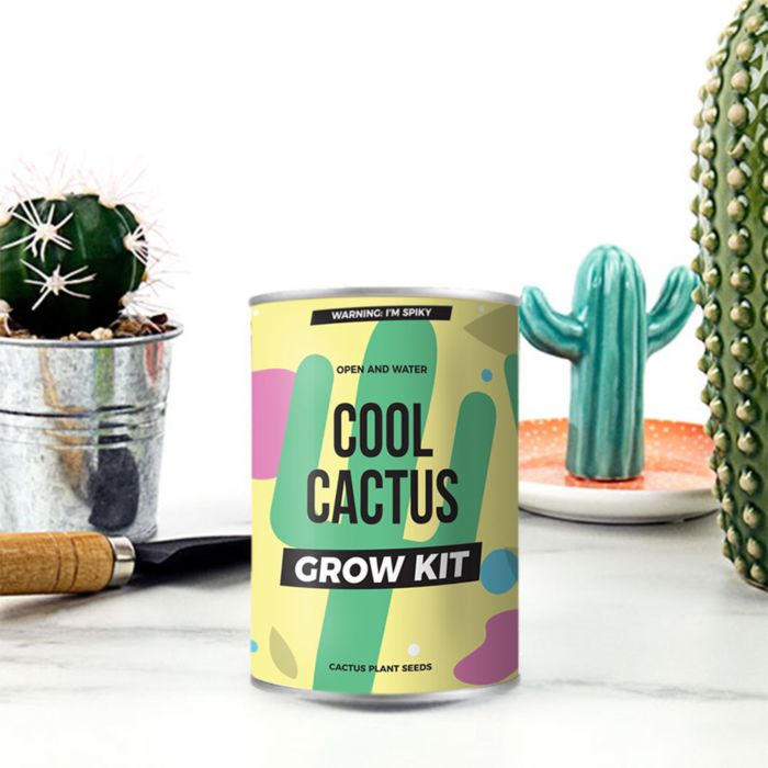 Kaktus på dåse