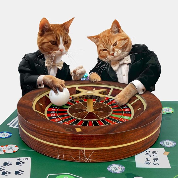 Roulette kattelegetøj