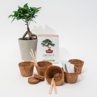Grow It Bonsai-træer