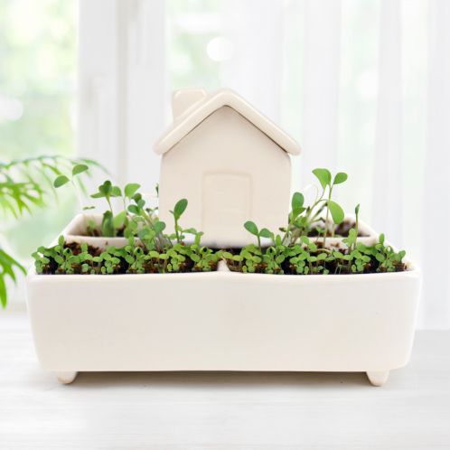 Mini plantehus med selvvanding