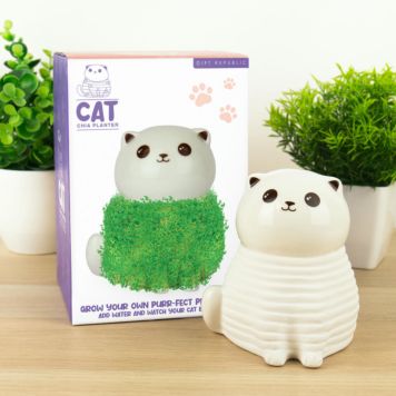 Katte-chia-plantekrukke