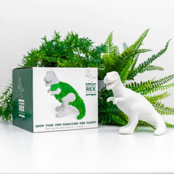 Chia Saurus-Rex
