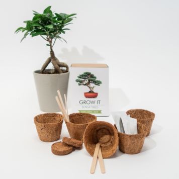 Grow It Bonsai-træer