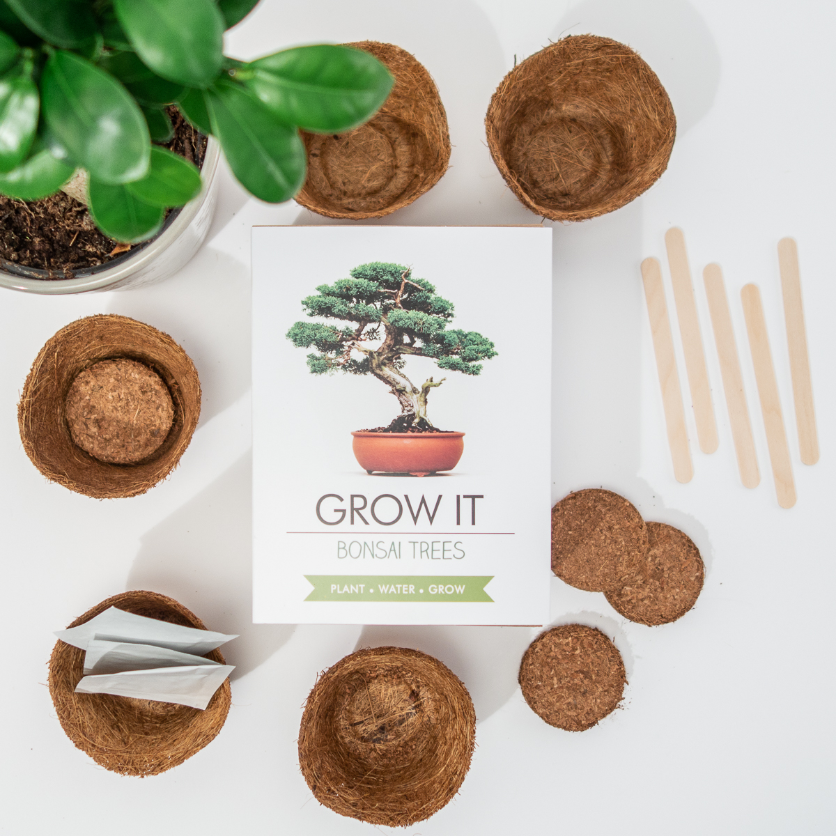 Grow It Bonsai-træer