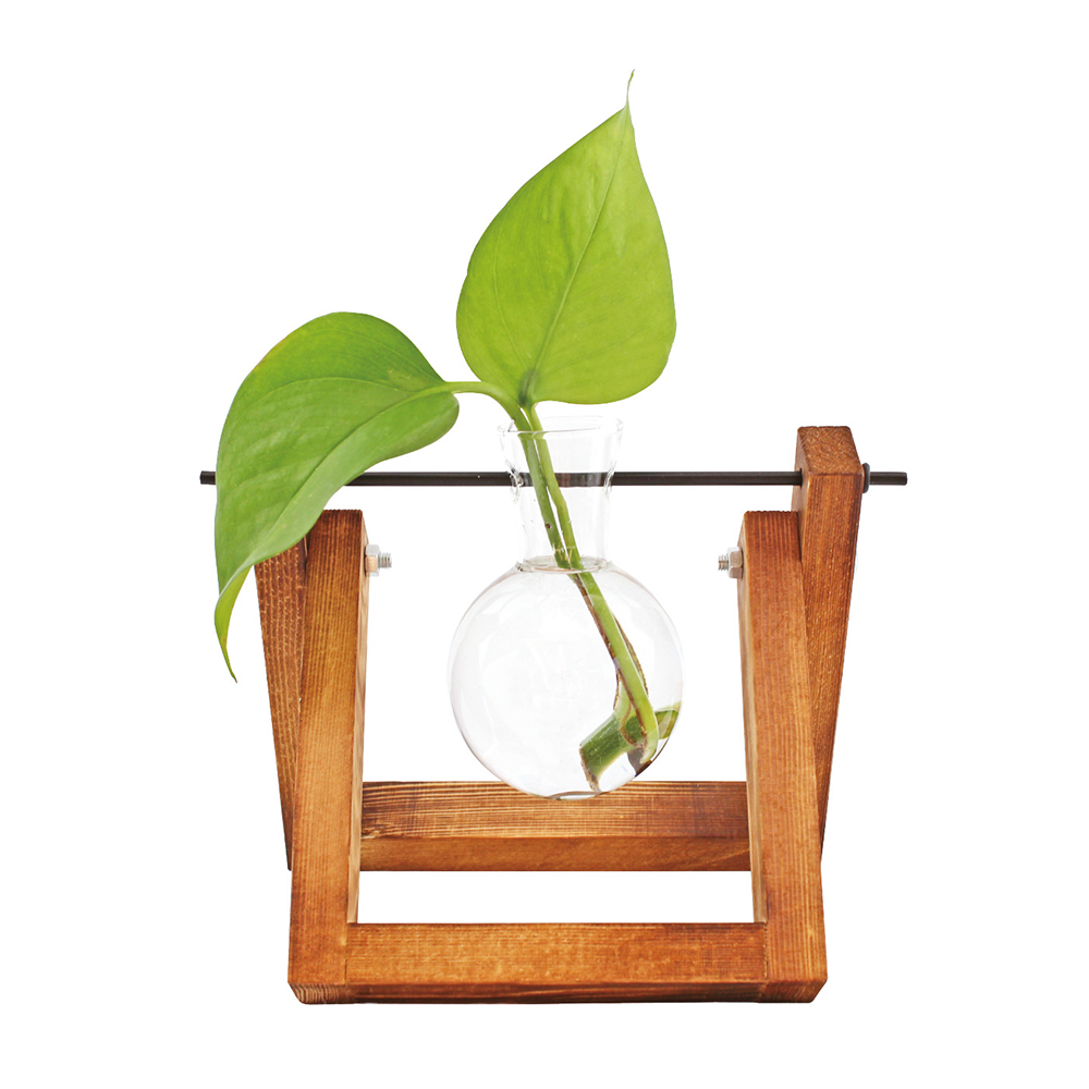 Hydro vase til miniplanter